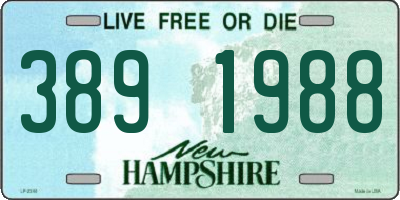 NH license plate 3891988