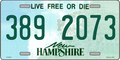NH license plate 3892073