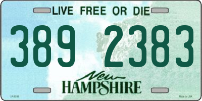 NH license plate 3892383