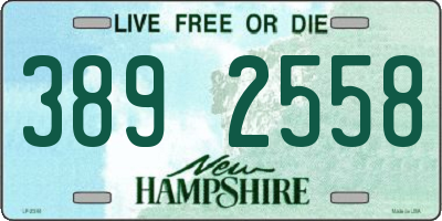 NH license plate 3892558