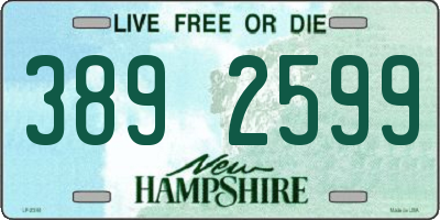 NH license plate 3892599