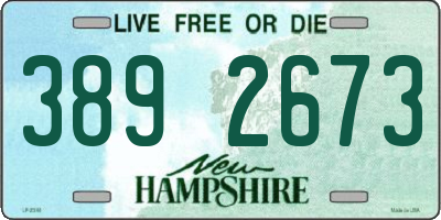 NH license plate 3892673