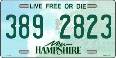 NH license plate 3892823