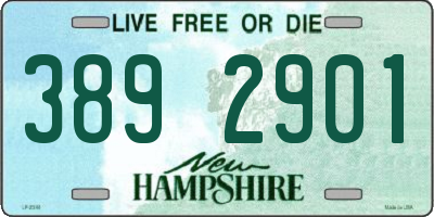 NH license plate 3892901