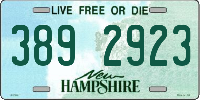 NH license plate 3892923