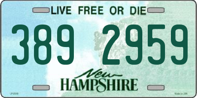 NH license plate 3892959