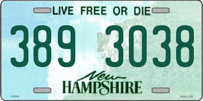 NH license plate 3893038