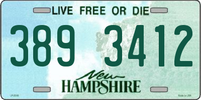 NH license plate 3893412