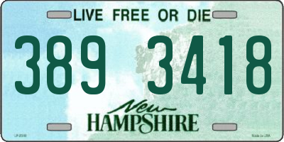 NH license plate 3893418