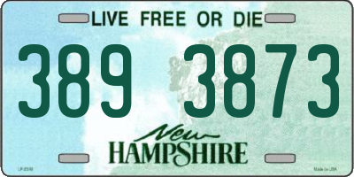 NH license plate 3893873