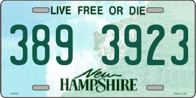 NH license plate 3893923