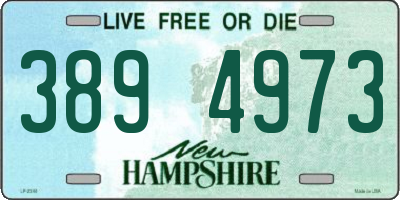 NH license plate 3894973