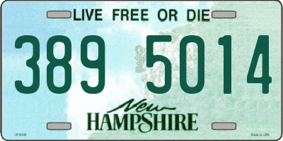 NH license plate 3895014