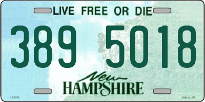 NH license plate 3895018