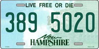 NH license plate 3895020