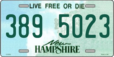 NH license plate 3895023