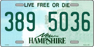 NH license plate 3895036