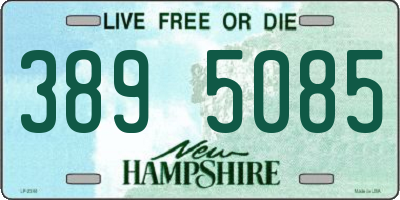 NH license plate 3895085