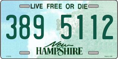 NH license plate 3895112