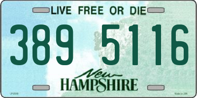 NH license plate 3895116