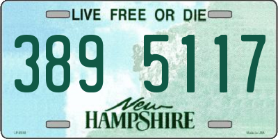 NH license plate 3895117