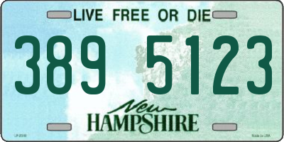 NH license plate 3895123