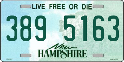 NH license plate 3895163