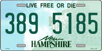 NH license plate 3895185