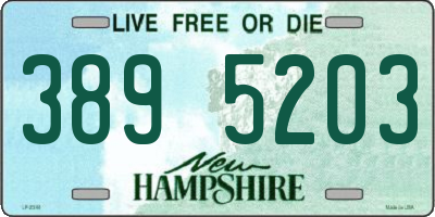 NH license plate 3895203