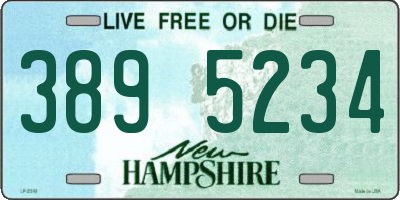 NH license plate 3895234