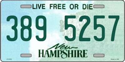 NH license plate 3895257