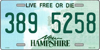 NH license plate 3895258