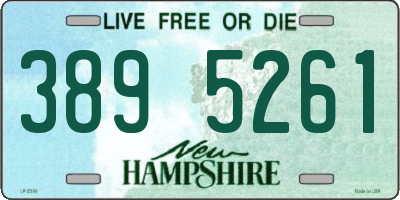 NH license plate 3895261