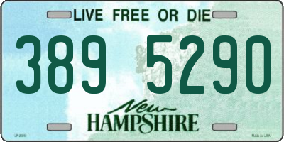 NH license plate 3895290