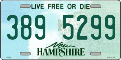 NH license plate 3895299