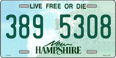 NH license plate 3895308