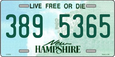 NH license plate 3895365