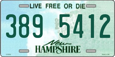 NH license plate 3895412