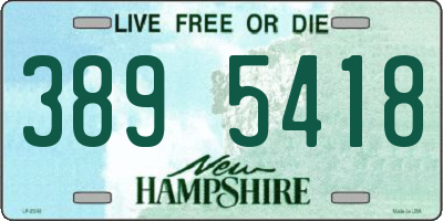 NH license plate 3895418