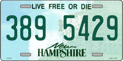 NH license plate 3895429