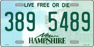 NH license plate 3895489