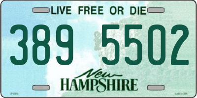 NH license plate 3895502