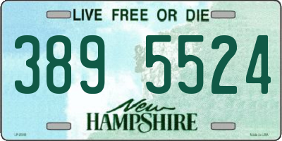 NH license plate 3895524