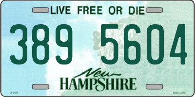 NH license plate 3895604