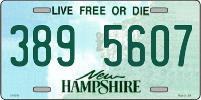 NH license plate 3895607