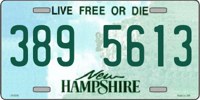 NH license plate 3895613