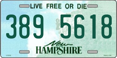 NH license plate 3895618