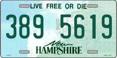 NH license plate 3895619