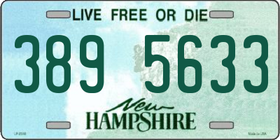 NH license plate 3895633