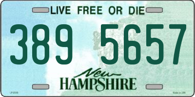 NH license plate 3895657